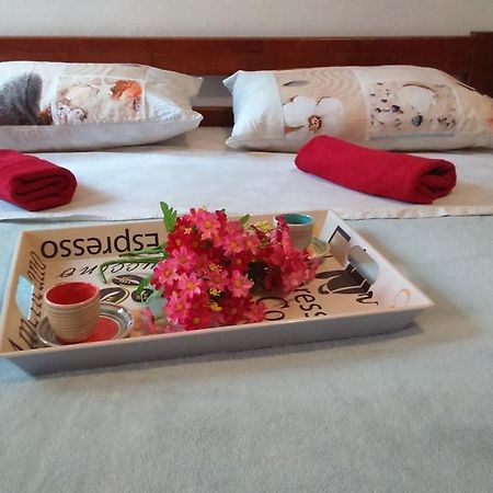 Apartment Vladka إيزولا المظهر الخارجي الصورة